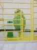 IMG-20161031-WA0001.jpg