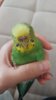 20161110_134310.jpg