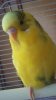 20181018_151221.jpg