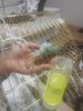 IMG-20181020-WA0002.jpg