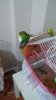 IMG-20181022-WA0010.jpeg