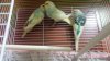 IMG-20181023-WA0014.jpg