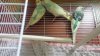 IMG-20181023-WA0013.jpg