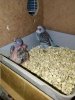IMG_20181025_095216-min.jpg