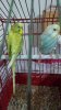 IMG-20181025-WA0031.jpeg