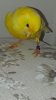 DE7A731A-25F0-447A-B217-2865B271385D.jpeg