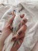 20181028_102945.jpg