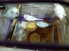 20181030_085211.jpg