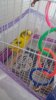 IMG-20181031-WA0001.jpeg