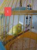 20181103_000538.jpg