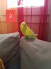 20181103_000602.jpg