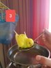20181103_000621.jpg