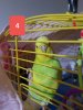20181103_000651.jpg