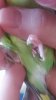 20181103_150218.jpg