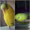 IMG-20181103-WA0015.jpg