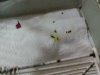 IMG_20181104_223040.jpg