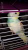 IMG-20181103-WA0019.jpeg