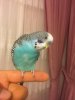 2CDA2AB1-3012-4CAD-A29A-736518F1DAEE.jpeg
