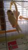 IMG-20181106-WA0003.jpeg