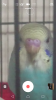 Screenshot_20181108-194115.png