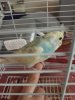 20181112_094929.jpg