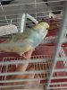 20181112_094915.jpg