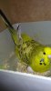 20181011_003445.jpg