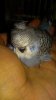 20180813_230439.jpg