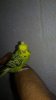 20181024_003311.jpg