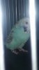 20181114_223749.jpg