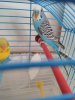 IMG_20181116_093233.jpg