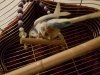 IMG-20181116-WA0005.jpg
