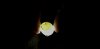 31627A01-FE4C-41E0-973C-3B410A074BA1.jpeg