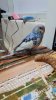 20181127_181422.jpg