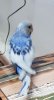 20181127_181450.jpg