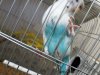 IMG-20181212-WA0041.jpg
