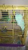IMG-20181219-WA0011.jpg