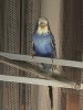 3EBFB246-B0F7-4C1B-BBEF-68A895BAC115.jpeg