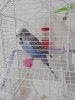 IMG_20181227_214321.jpg