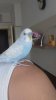IMG-20181231-WA0007.jpeg
