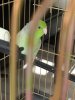 00875FAE-505D-4545-8427-3ADF1D88D898.jpeg