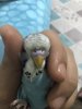 AB07D820-BD25-428A-B6C9-BF95A269E52A.jpeg
