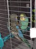 F16BDED3-3D7F-4C4E-ABCD-52A42FB879D2.jpeg
