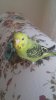 20190120_102423.jpg
