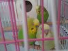 IMG_20190128_150015.jpg