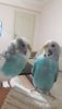 IMG-20190129-WA0000.jpeg