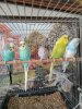 IMG_20190210_134738.jpg
