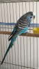 ABE9F097-9955-4964-A472-F8D6778D09BD.png