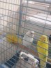 20190226_073205.jpg