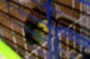 Screenshot_2019-02-28-17-06-19_1.jpg